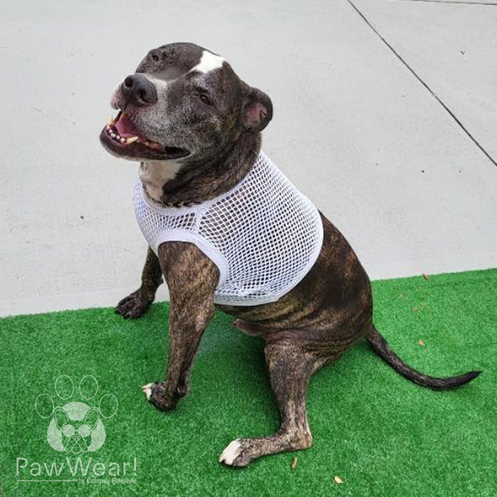 Black Dog Wearing PawWear LARGE WHITE 100% Cotton Tank Top, Fisherman String Vest, Mesh Shirt