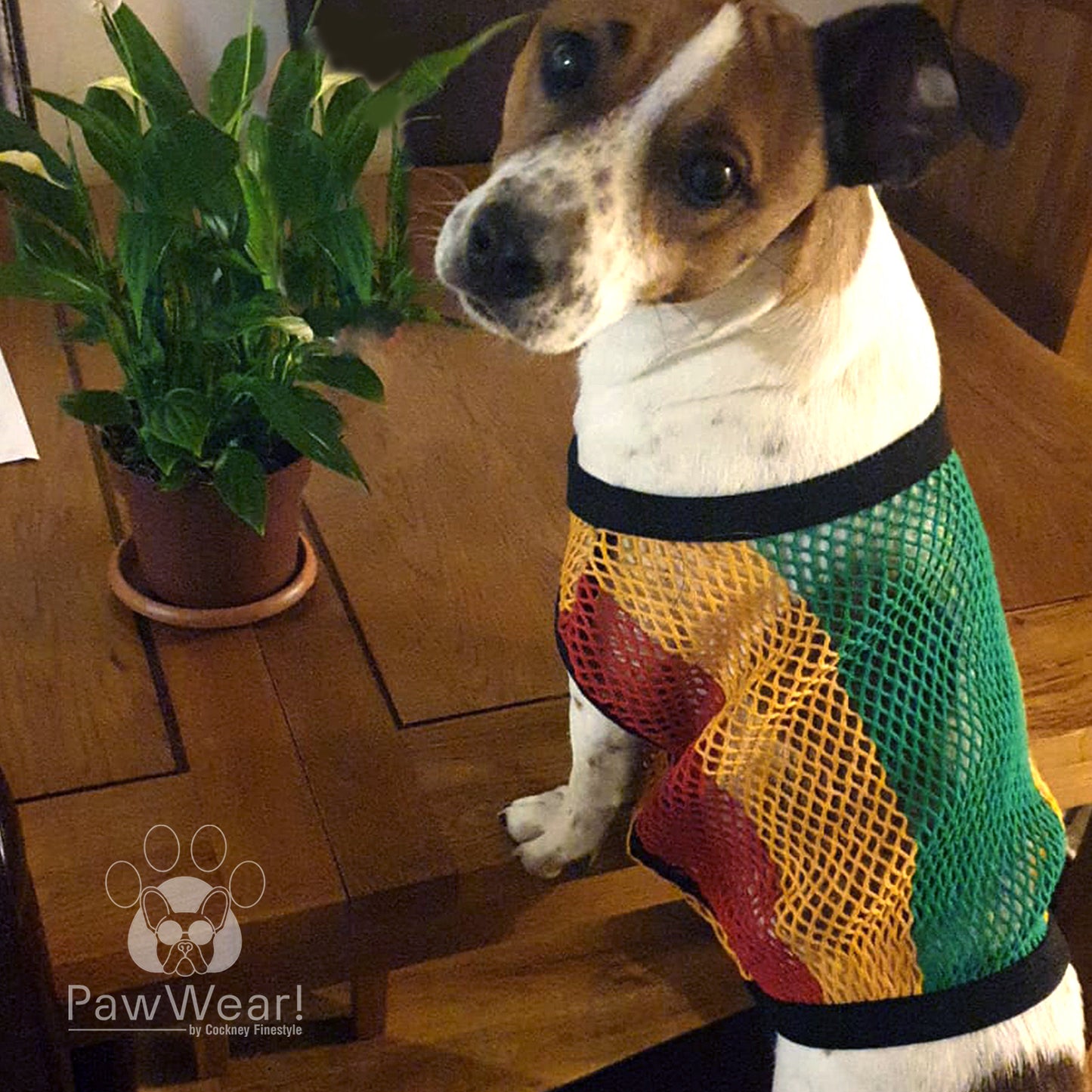 Dog wearing PawWear LARGE RASTA COLORS 100% Cotton Tank Top, Fisherman String Vest, Mesh Shirt for small dogs.