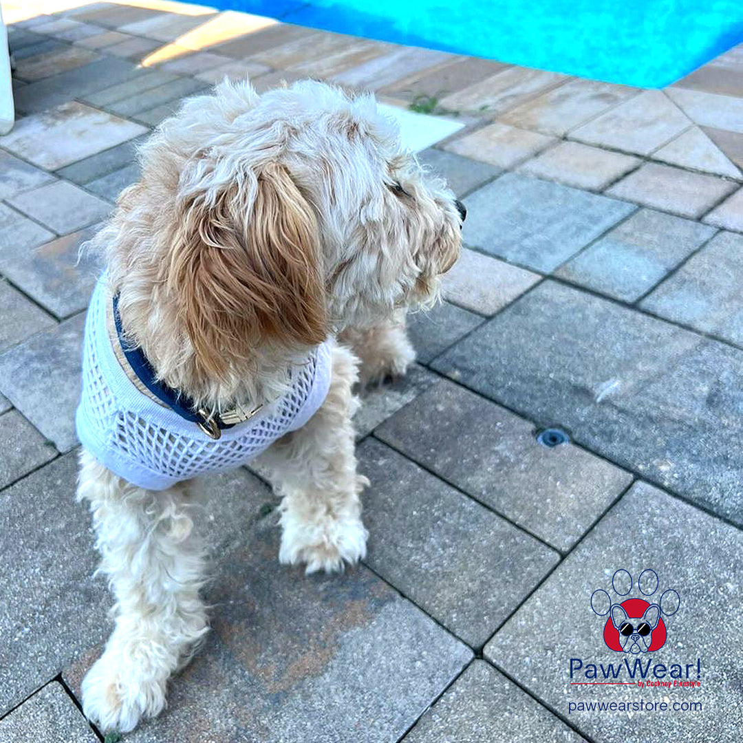 PawWear | Fisherman String Mesh Vests Dog Wear For Miniature Dogs