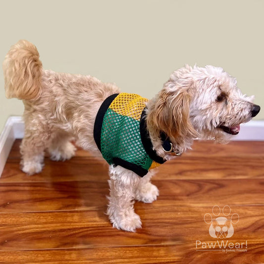 Dog wearing PawWear XS JAMAICA COLORS 100% Cotton Tank Top, Fisherman String Vest, Mesh Shirt.