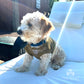 Small dog wearing PawWear XS KHAKI 100% Cotton Tank Top, Fisherman String Vest, Mesh Shirt for miniature dogs.